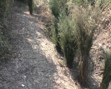 Keçmiş məhkum bunu da etdi: Dağın ətəyində... / FOTOLAR